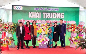 Khai trương điểm giới thiệu và bán sản phẩm OCOP tại huyện Quỳnh Nhai