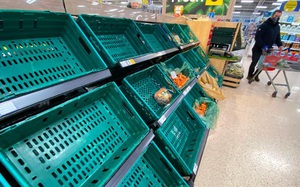 Kệ hàng siêu thị trống rỗng, cá thối rữa không kịp xuất khẩu: Anh trả giá đắt hậu Brexit