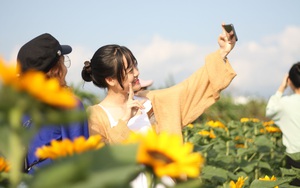 Bình Định: Hội anh em tháp tùng hội chị em đang kéo nhau rần rần tới vườn hoa nào trong tỉnh để check in?