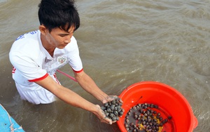 Cà Mau: Nhiều mô hình, dự án nuôi con đặc sản, trồng cây đặc sản cho thu nhập hơn 1 tỷ đồng/năm