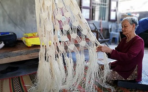 Quảng Nam: Cây ngô đồng là loài cây gì mà cả cù lao chỉ còn 2 người đàn bà gỡ vỏ cây đan võng