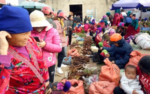 Điện Biên: Lợn cắp nách, gà đen đặc sản và vô số sản vật núi rừng bán ở chợ phiên Tủa Chùa