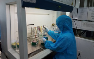 Việt Nam tìm thấy chủng virus SARS-CoV-2 biến thể mới có nguồn gốc Nam Phi