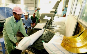 Việt Nam lần đầu tiên mua gạo của Ấn Độ để làm gì?
