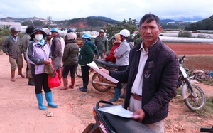 Lâm Đồng: Doanh nghiệp làm nông nghiệp công nghệ cao nợ tiền thuê đất, dân nghèo khốn đốn