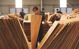 Xuất khẩu gỗ quyết gom đủ 14 tỷ USD trong năm 2021