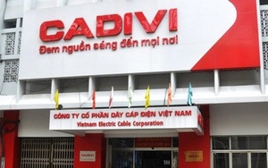 Dây cáp điện Việt Nam: Chi phí tăng cao khiến lãi ròng chỉ đạt 393 tỷ đồng trong năm 2020, giảm 20%