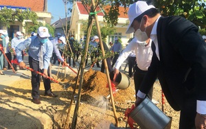 100% cán bộ, hội viên nông dân tỉnh Khánh Hòa bịt kín khẩu trang tham gia "Tết trồng cây"