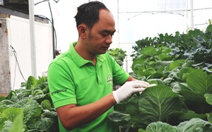 Lâm Đồng: Nghe bí quyết làm nông nghiệp công nghệ cao trồng đâu thắng đấy của ông giám đốc nông dân có bằng thạc sỹ