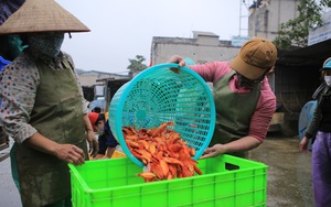 Lo "tắc đường" vì dịch Covid-19, chợ cá lớn nhất thủ đô tấp nập người mua cá chép tiễn ông Công ông Táo sớm