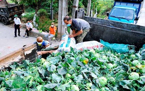 Hải Dương: &quot;Tâm dịch” Covid-19 TP Chí Linh tiếp nhận hơn 100 tấn rau xanh do đơn vị hảo tâm &quot;giải cứu&quot; cho nông dân