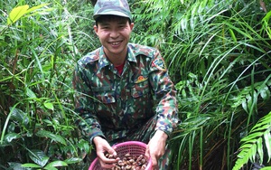 Bắc Giang: Leo núi, vô rừng săn loài ốc trước kia nướng ăn chống đói, nay nhặt về làm món đặc sản đắt tiền