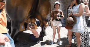 Mỹ: Thi nhau chạm tay vào tinh hoàn của tượng bò tót để cầu may