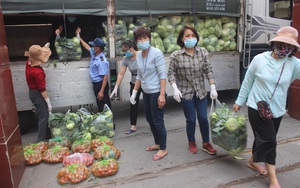 Chỉ trong vài ngày, Hội ND Hà Nội làm cách nào giúp nông dân Hải Dương, Mê Linh bán hết gần 40 tấn rau?