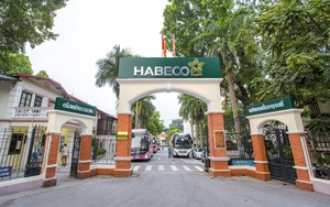 Bộ Công Thương sắp nhận hơn 500 tỷ đồng từ Habeco