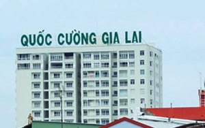 Bàn giao sản phẩm, năm 2020 Quốc Cường Gia Lai lãi ròng 82 tỷ đồng, tăng 40%