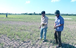 Bến Tre: Xâm nhập mặn sẽ tiến sâu vào bao nhiêu km, ngành chức năng khuyến cáo nông dân điều gì?