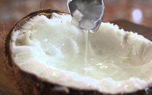 Trà Vinh: Trái dừa sáp đặc sản đem làm mứt Tết, giá 400 ngàn đồng/ký vẫn không có mà mua
