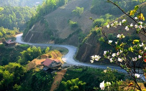 Tour du lịch Tây Bắc: Tự lái xe trải nghiệm, thách thức không nhỏ về ý thức giao thông