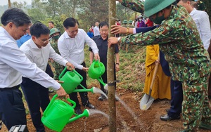Điện Biên: Phát động trồng 10.000 cây hoa ban “Vì một Việt Nam xanh”
