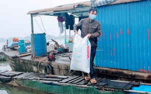 Hải Dương: Nông dân chóng mặt vì giá thức ăn chăn nuôi liên tục tăng