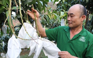 Hiệu quả từ mô hình “nông dân dạy nông dân” ở huyện Mai Sơn