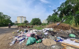 Hà Nội: Nhiều dự án bỏ hoang, lãng phí đất đai