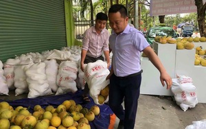 Không thể chờ "giải cứu" nông sản, lãnh đạo tỉnh Đồng Nai họp tìm đầu ra ổn định