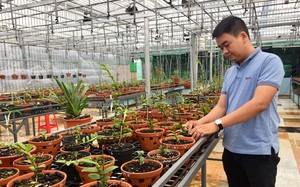 Đắk Lắk: Nhà có hoa lan giả hạc đột biến quý hiếm nên chàng nông dân có bằng đại học phải làm điều này
