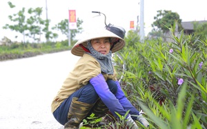 Hà Nam: Chính quyền có cách gì hay mà nhà nào ở đây cũng phân loại rác cụ thể, bỏ đúng nơi quy định?