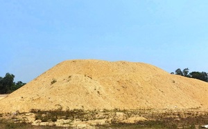 Bình Định: “Dẹp”… hàng loạt bãi chứa cát mọc "vô tội vạ" gây bức xúc
