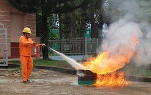 PC Đắk Nông: Tăng cường phòng cháy, chữa cháy, vận hành lưới điện an toàn