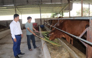 Agribank Sông Mã chung tay xây dựng Nông thôn mới