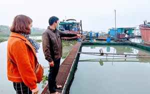 Hải Dương: Đến khổ, nuôi "báo cô" hàng chục tấn cá lồng, nông dân ở đây chỉ mong mỏi điều này