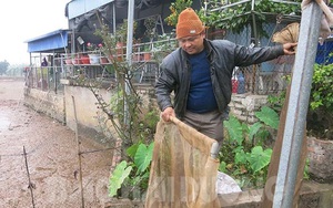 Hải Dương: Nuôi con đặc sản &quot;đỏng đảnh, khó chiều&quot;, một ông nông dân suýt phá sản nhưng sau lại đổi đời