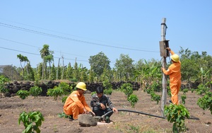 Công ty Điện lực Đắk Nông: Tăng cường kiểm tra, giám sát mua bán điện mùa nắng nóng