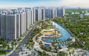 Cen Land (CRE) công bố kết quả kinh doanh quý I bằng cả năm 2020