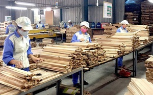 Nhập khẩu gỗ nguyên liệu: Cần đề phòng nguy cơ điều tra phòng vệ thương mại