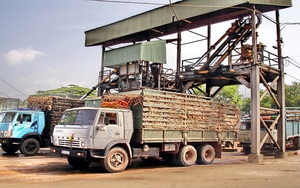 Đường nhập khẩu tăng khủng khiếp, bất chấp điều tra chống bán phá giá, chống trợ cấp