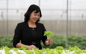 Chị nông dân Ninh Bình thu tiền chục tỷ nhờ trồng rau sạch ứng dụng công nghệ cao