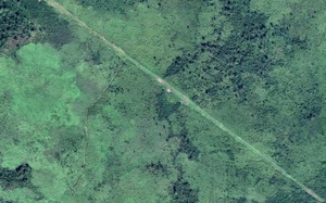 Phát hiện “Con đường buôn lậu” ở Guatemala bằng Google Maps