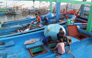 Gỡ thẻ vàng IUU: Đừng để quá muộn (Bài cuối): Không làm quyết liệt, khó gỡ thẻ vàng