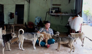 Câu chuyện của người CSGT giải cứu hàng trăm chó, mèo gặp nạn