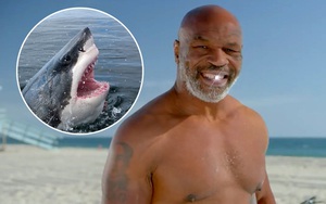 Mike Tyson: Tưởng được dự Shark Tank, ai dè đi ru... cá mập ngủ