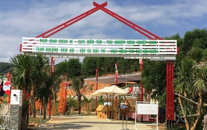 Khánh Hòa: Đình chỉ hoạt động Eco Zone Nha Trang - Đà Lạt 