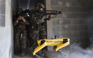 Quân đội Pháp đang thử nghiệm chó Robot trong chiến đấu