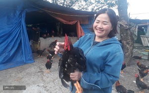 Lai Châu: Nuôi &quot;lung tung&quot; cả ngàn con gà, con vịt, con ngan, một nông dân vùng cao có của ăn của để
