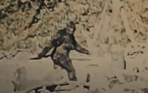 Huyền thoại Bigfoot xuất hiện trong vụ thảm sát tại trang trại trồng cần sa