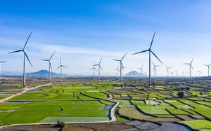 Cập nhật "nóng" về các nhà máy điện gió được công nhận vận hành thương mại