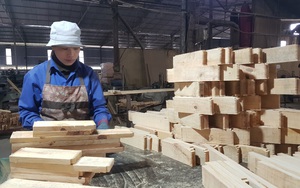 Mỹ chi 6,4 tỷ USD chỉ để mua đồ gỗ của Việt Nam, lại còn đạt được một thỏa thuận mới 